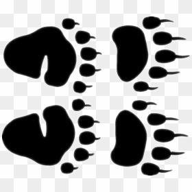 Bear Paw Prints - Bear Footprint Clipart, HD Png Download - bear claw png