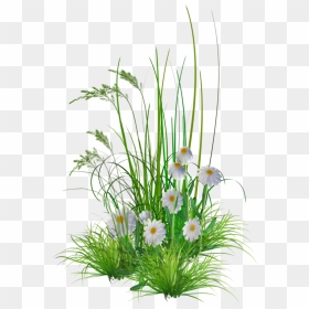 Photos V - Transparent Flower Garden Grass Png, Png Download - flower bush png