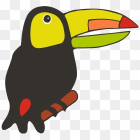 Toucan Drawing, HD Png Download - toucan png