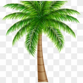 Balloon Hatenylo Com Tree - Date Palm Tree Png, Transparent Png - palm tree emoji png