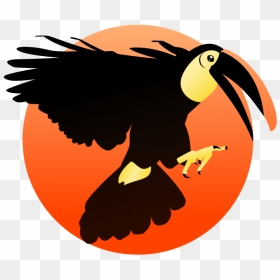 Toucan - Beak, HD Png Download - toucan png