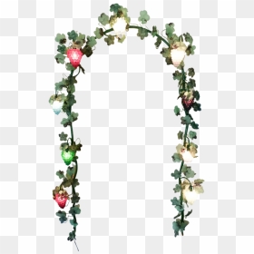 Murano Arch Wall Light With Bunches Of Grapes - Garden Roses, HD Png Download - wall vines png