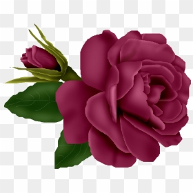 0 746e1 898e86bf Orig Flower Images, Flower Pictures, - Transparent Transparent Background Burgundy Flowers, HD Png Download - purple roses png