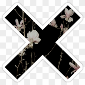 #cross #overlay #png #x #edit #tumblr #flower #munloit, Transparent Png - png tumblr hipster