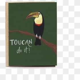 Toucan Encouragement Card - Toucan, HD Png Download - toucan png