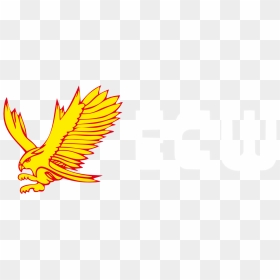 Graphic Design, HD Png Download - ecw logo png