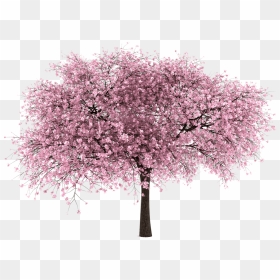 Japanese Trees Png Vector, Clipart, Psd - Cherry Blossom Tree Png, Transparent Png - japanese png