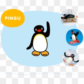 Pingu Is A 5 Year Old Boy Penguin - Pinga Cartoon, HD Png Download - pingu png