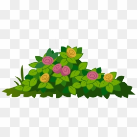 Flower Bush - Garden Roses, HD Png Download - flower bush png