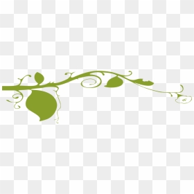The Pumpkin River Store - Png Plant Graphic, Transparent Png - wall vines png