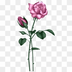 Transparent Gold Rose Clipart - Blue Clipart Transparent Flower Png, Png Download - purple roses png