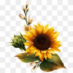 Transparent Sunflower Clipart Png - Transparent Background Sunflower Transparent, Png Download - wood background png