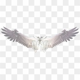 Buffalo Wing Castiel Bird - Transparent Background Wings Png, Png Download - buffalo wings png