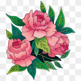 Peonies Clipart - Japanese Camellia, HD Png Download - peonies png
