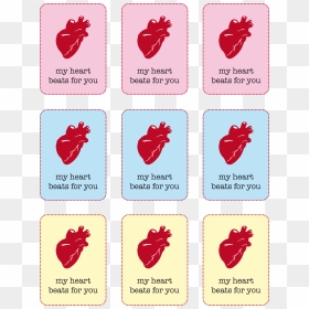 Arte Della Pizza, HD Png Download - anatomical heart png
