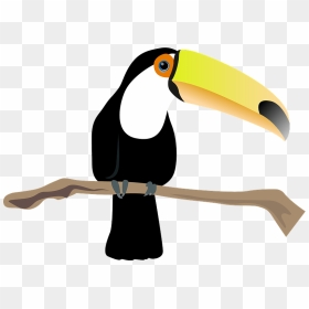 Toco Toucan Bird Clipart - オオハシ フリー 素材, HD Png Download - toucan png