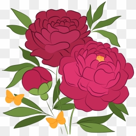 Peonies Clipart - Common Zinnia, HD Png Download - peonies png