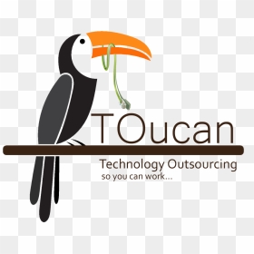 Tucan , Png Download - Vector Graphics, Transparent Png - toucan png