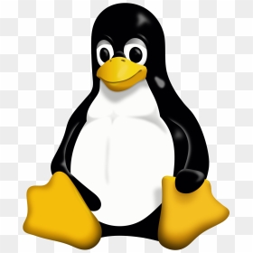 Linux Logo In Png, Transparent Png - pingu png