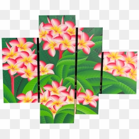 Transparent Plumeria Flower Png - Frangipani, Png Download - plumeria png