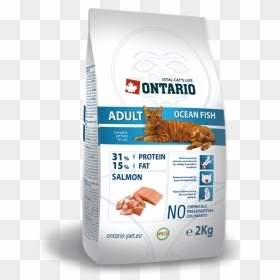 Obrázek Ontario Adult Ocean Fish 2kg - Ontario Kitten, HD Png Download - ocean fish png