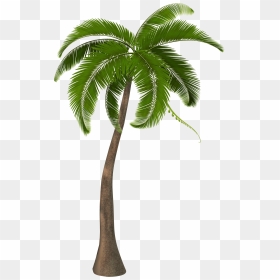 Beautiful Palm Tree Clipart - Palm Tree Hd Png, Transparent Png - palm tree emoji png