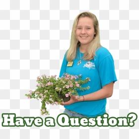 Warren"s Southern Gardens Expert Kathryn - Bouquet, HD Png Download - flower bush png