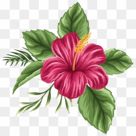 Colored Hibiscus Flower Drawing, HD Png Download - flower bush png