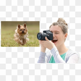Yorkshire Terrier, HD Png Download - camera viewfinder png