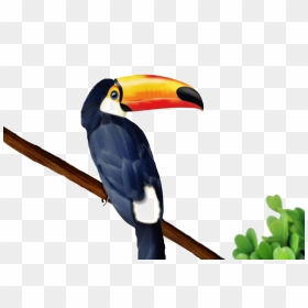 Toucan - V - 0 - 4 94 - 8 Kbytes - - Toucan Coloring Page Easy, HD Png Download - toucan png