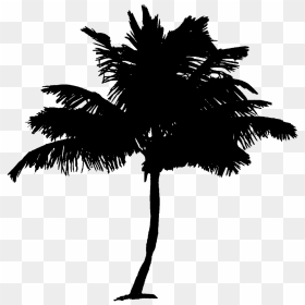 Palm Tree Coconut Palm Tree Tree - Pokok Kelapa Clip Art, HD Png Download - palm tree emoji png