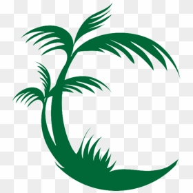 Palm Tree Logo Png - Palm Oil Tree Png, Transparent Png - palm tree emoji png