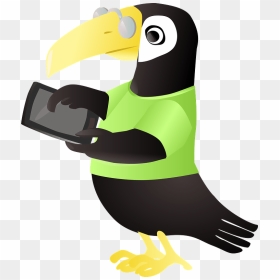 Animal Using Tablet Clipart, HD Png Download - toucan png