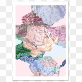 Peonies Png, Transparent Png - peonies png