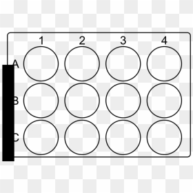 12 Well Plate - 12 Well Plate Png, Transparent Png - white plate png