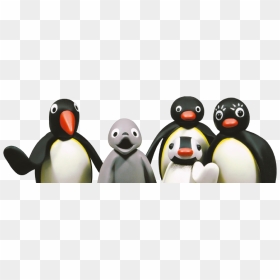 Adã©lie Penguin, HD Png Download - pingu png