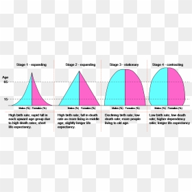 Dtm Pyramids - Demographic Transition Model Stages Population Pyramids, HD Png Download - the more you know png