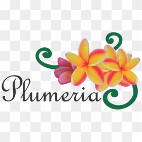 Logo - Daughters Of Cambodia, HD Png Download - plumeria png