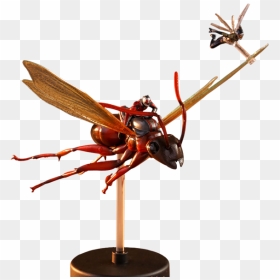Hot Toys Ant Man And The Wasp Fly, HD Png Download - ant man png