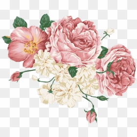 Peonies Vector , Png Download - Transparent Pink Flower Drawing, Png Download - peonies png