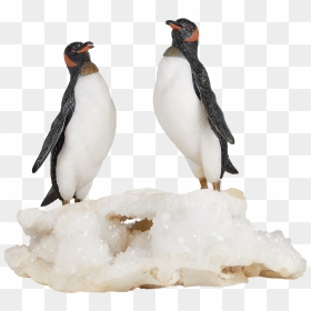 Pingu And Pinga The Penguins Sculpture - Adã©lie Penguin, HD Png Download - pingu png