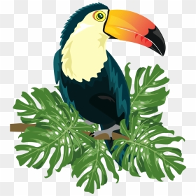 Ramphastinae Bird Ramphastos Illustration - Tropical Bird Clip Art, HD Png Download - toucan png