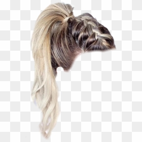 #braid #ponytail #blond #niche #vsco #hair - Cite Hair Styles Ponytail, HD Png Download - ponytail png