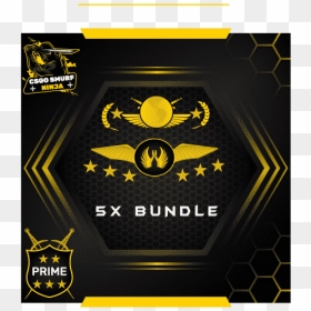 Buy Csgo Bundle Accounts - 2019 Service Medal Csgo, HD Png Download - csgo character png