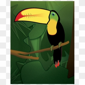 Toucan & Gradients Exercise Adobe Illustrator Illustration - Toucan, HD Png Download - toucan png