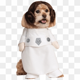 Star Wars Princess Leia Dog Costume, HD Png Download - princess leia png