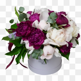 Explosion Of Peonies Flower Shop Studio Flores - Garden Roses, HD Png Download - peonies png