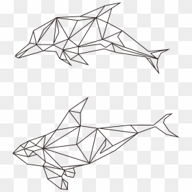 Drawing Animals Using Geometric Shapes, HD Png Download - pingu png