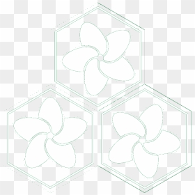 Illustration, HD Png Download - plumeria png