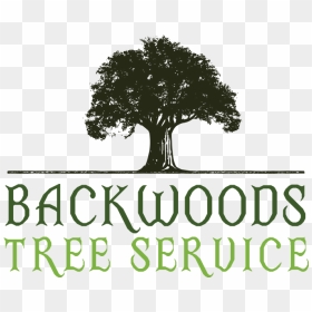Backwoods Tree Service Logo - Tree Service Logo, HD Png Download - backwoods png